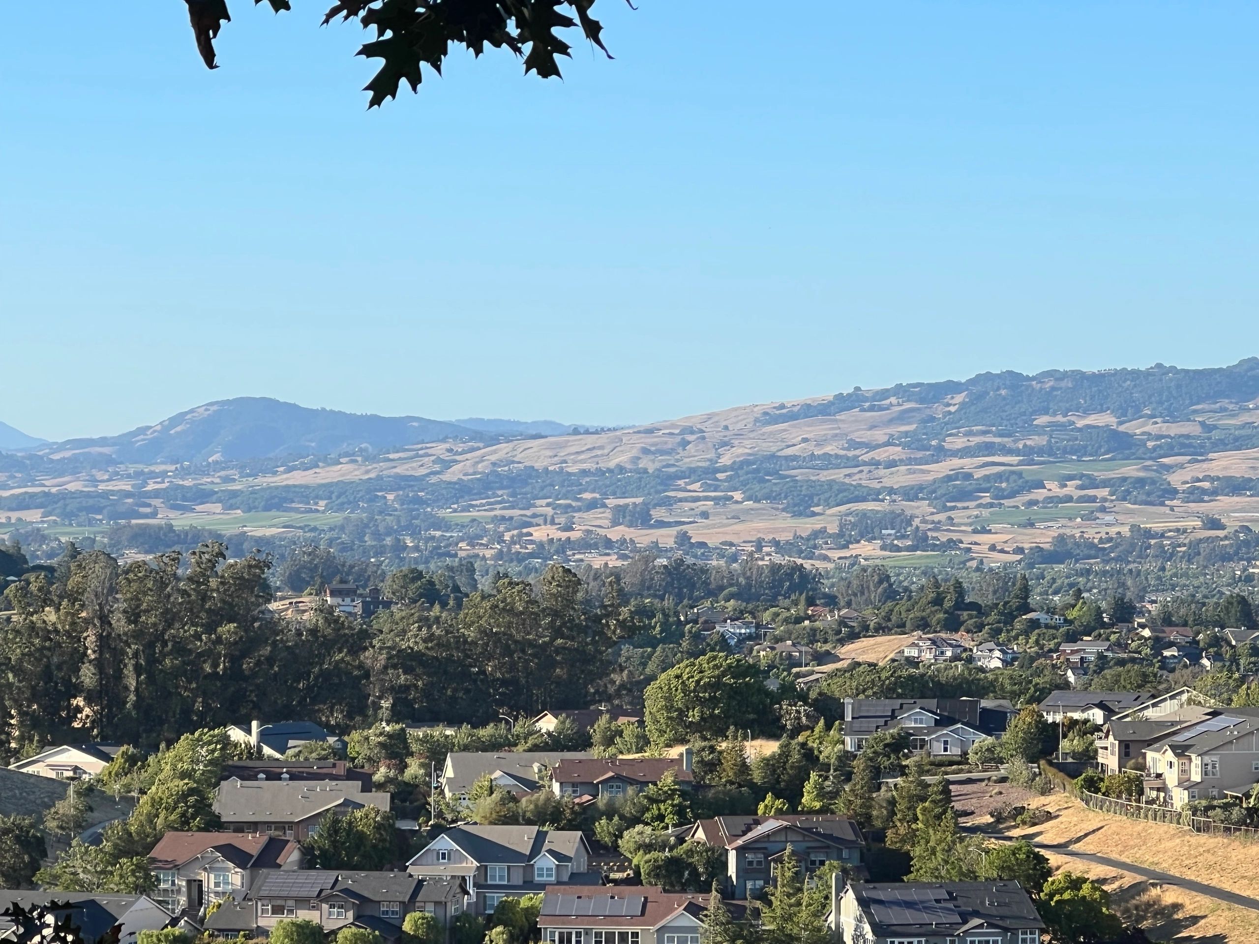 Helen Putnam Regional Park, a local favorite for tranquil walks and picnics.