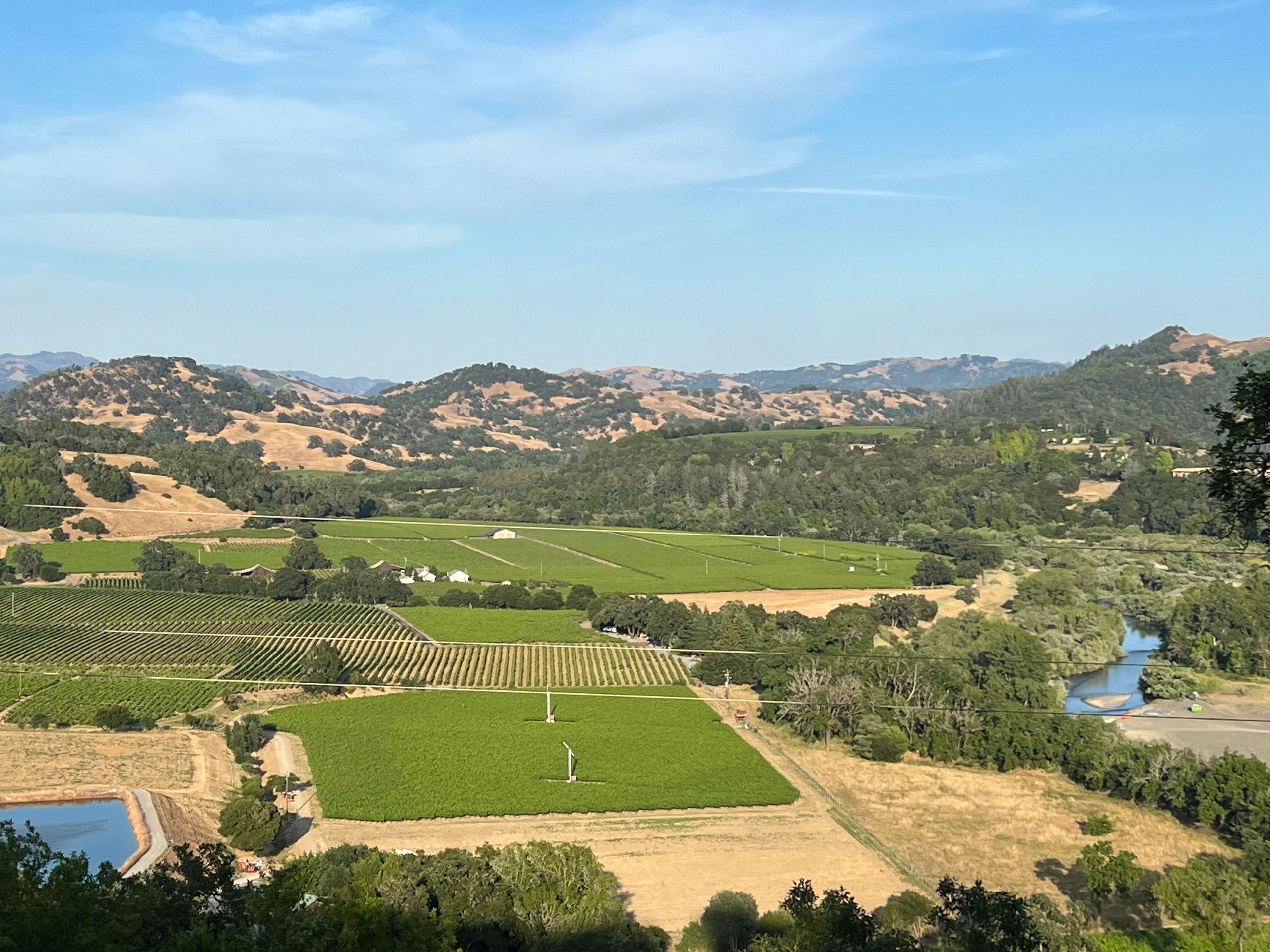 Healdsburg Ridge Open Space Preserve, a favorite for hiking and scenic views.