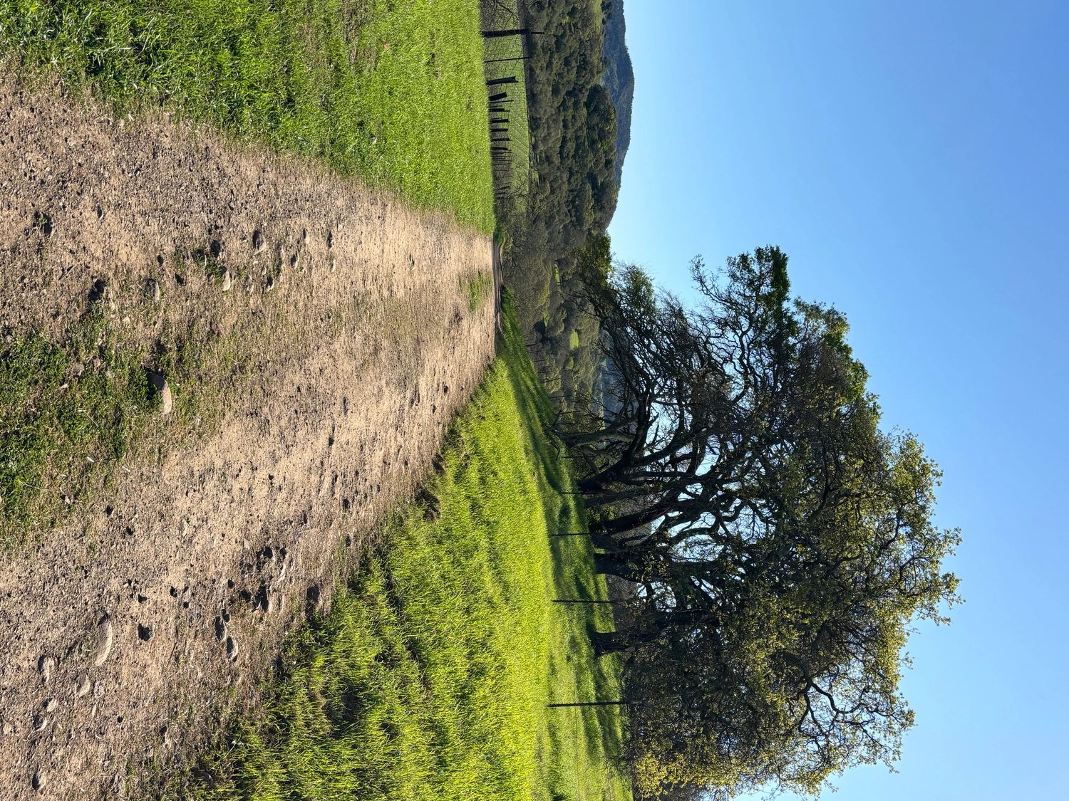 Quaint local hiking trail, ideal for outdoor enthusiasts and families.