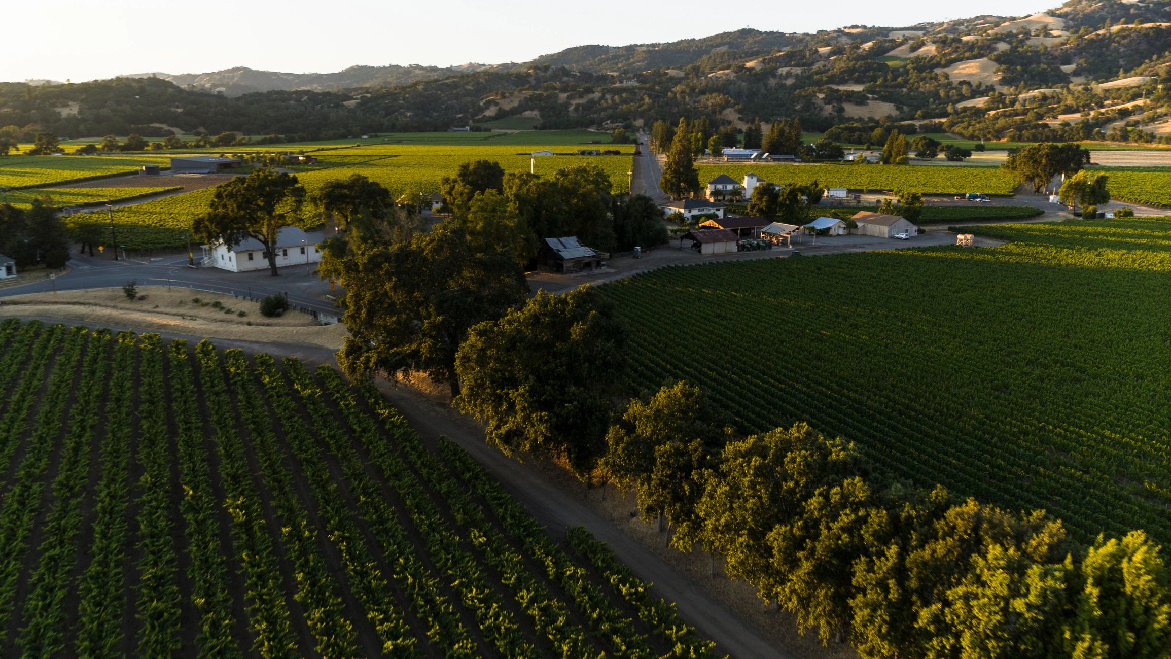 Aerial view of a charming winery settlement, highlighting rural Sonoma’s charm.